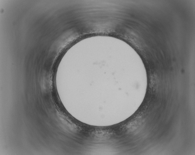 X0000064730632200602171642