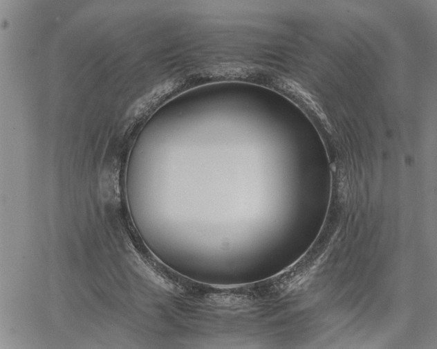 X0000064730633200602171642