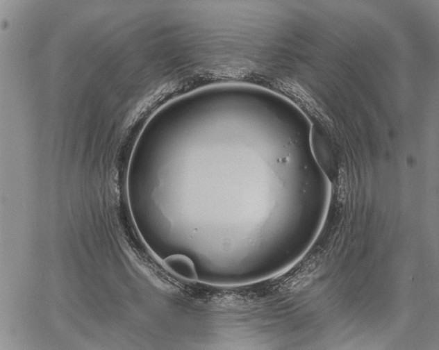 X0000064730634200602171642