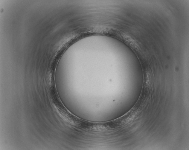 X0000064730636200602171642