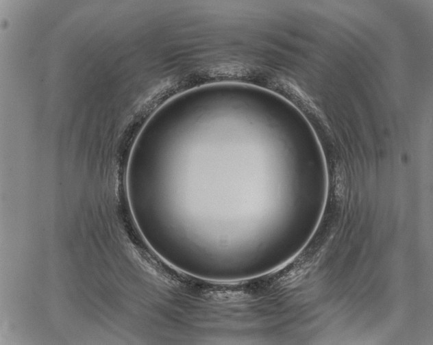 X0000064730637200602171642