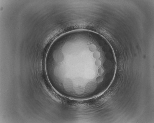 X0000064730638200602171642