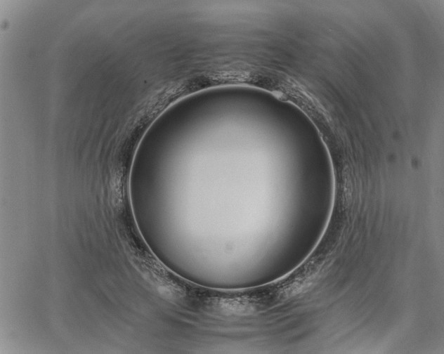 X0000064730641200602171643