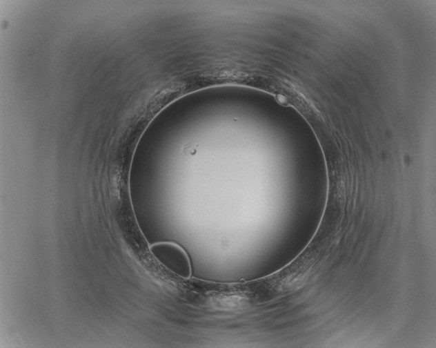 X0000064730643200602171643