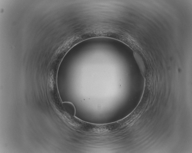 X0000064730644200602171643