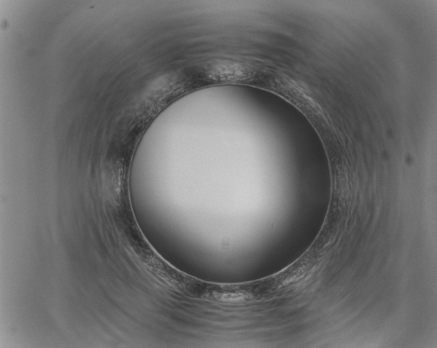 X0000064730645200602171643