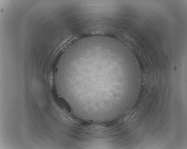 X0000064730648200602171643