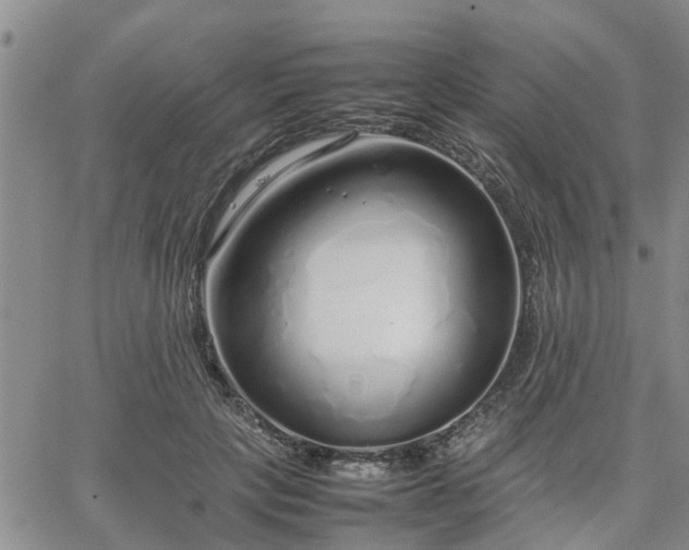 X0000064730649200602171643