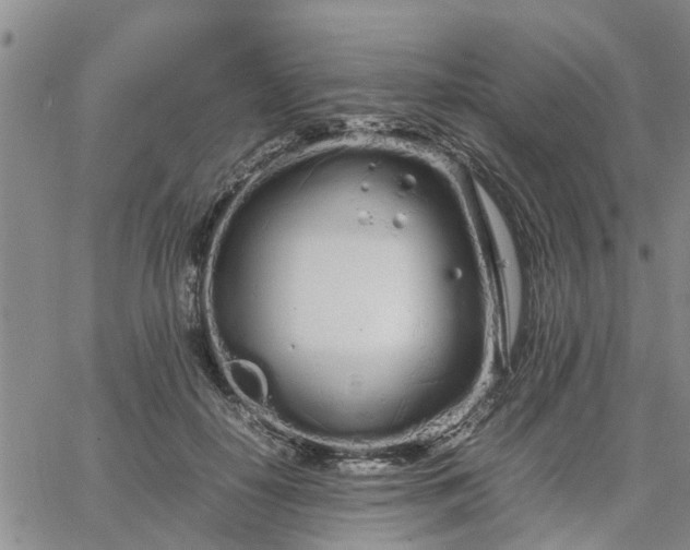 X0000064730650200602171643