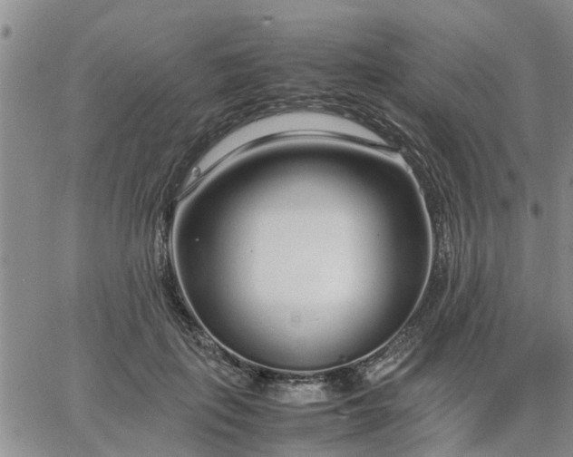 X0000064730651200602171643