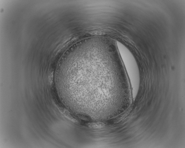 X0000064730652200602171643