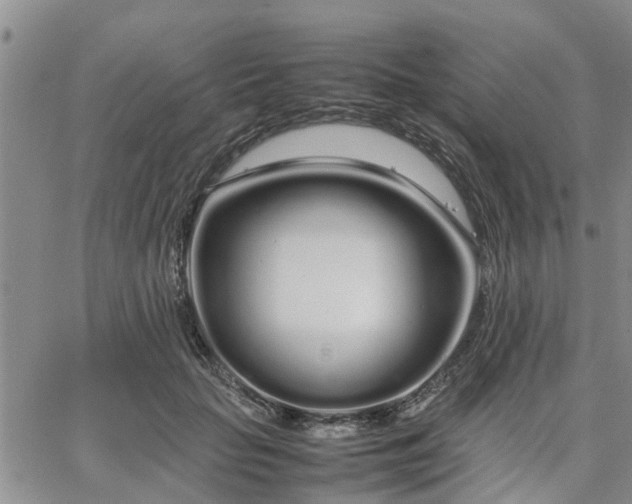 X0000064730653200602171643