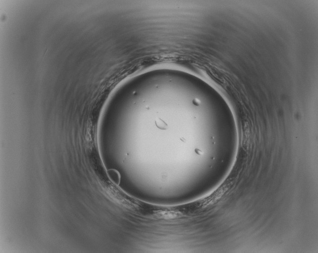 X0000064730654200602171643