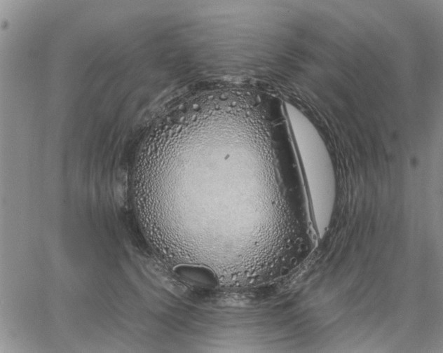 X0000064730656200602171643