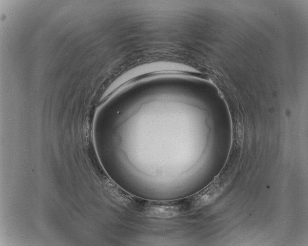 X0000064730657200602171643