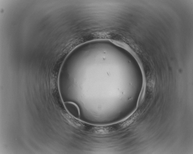 X0000064730658200602171643