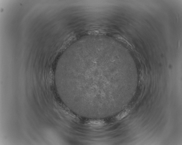 X0000064730659200602171643