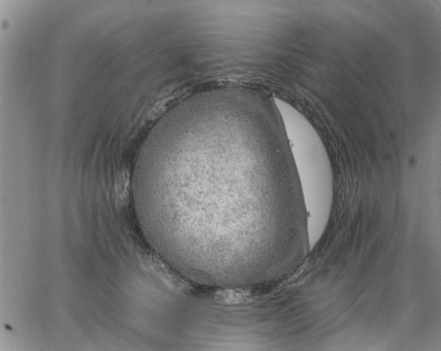 X0000064730660200602171643