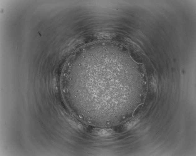 X0000064730663200602171643