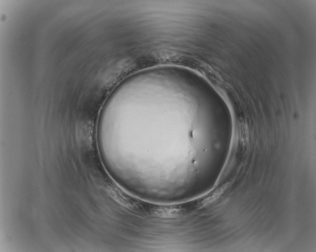 X0000064730664200602171643