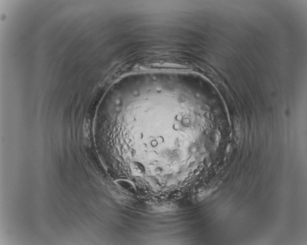 X0000064730667200602171643