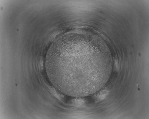 X0000064730668200602171643