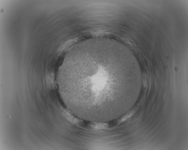 X0000064730670200602171643