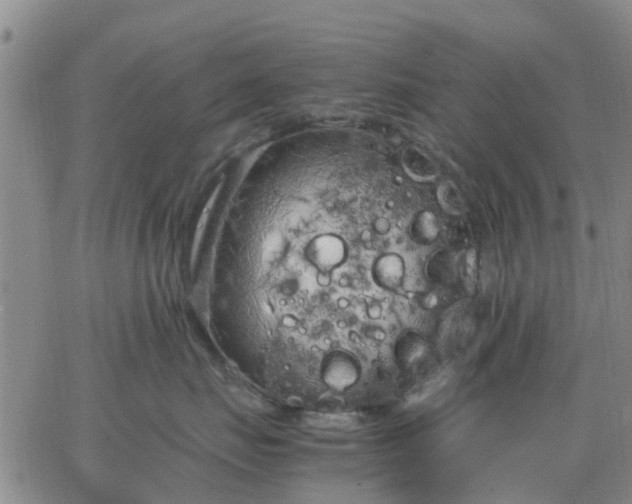 X0000064730671200602171643