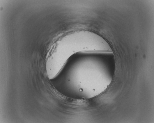 X0000064730672200602171643