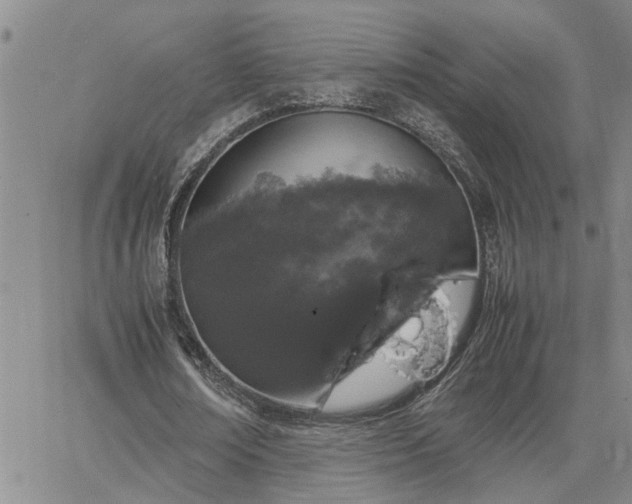 X0000064730674200602171642