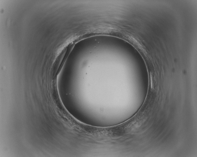 X0000064730675200602171642