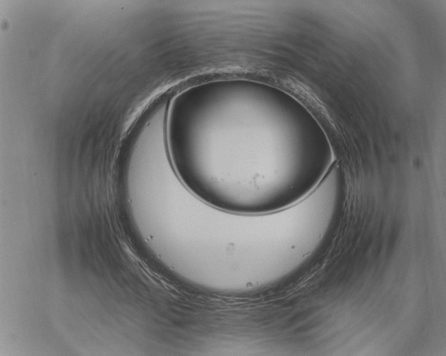 X0000064730676200602171642