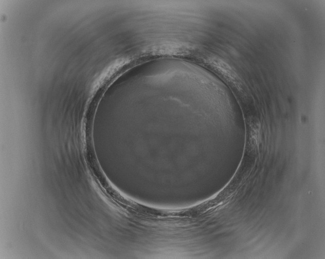 X0000064730678200602171642