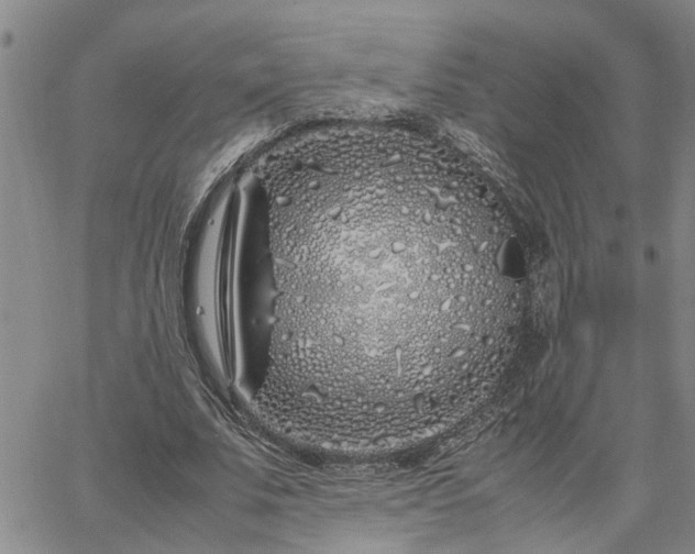 X0000064730679200602171642