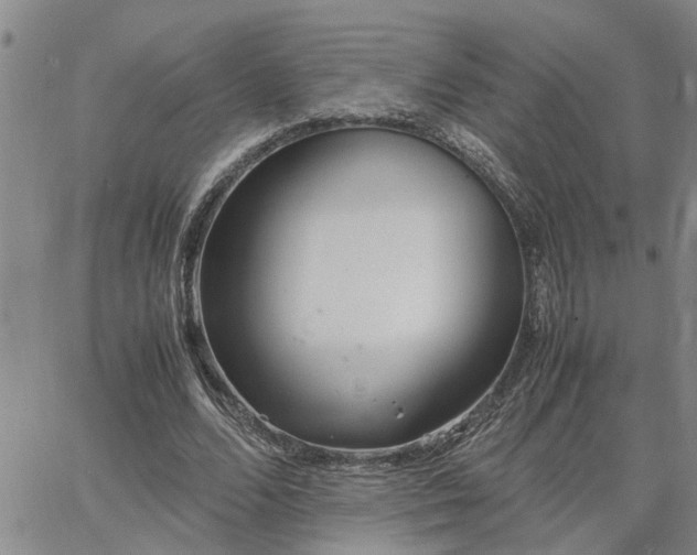 X0000064730680200602171642