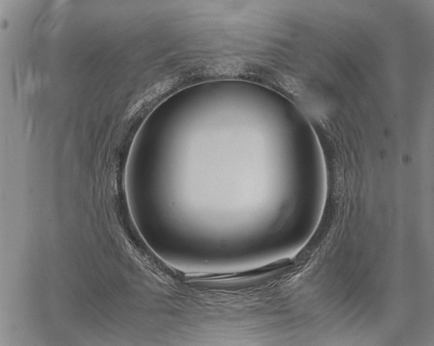 X0000064730681200602171642