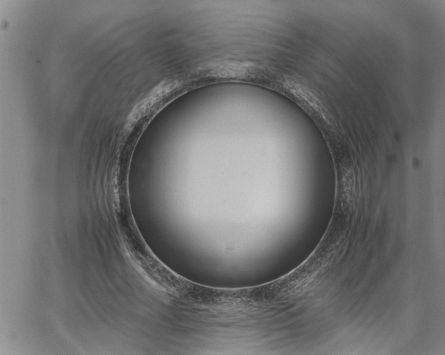 X0000064730682200602171642