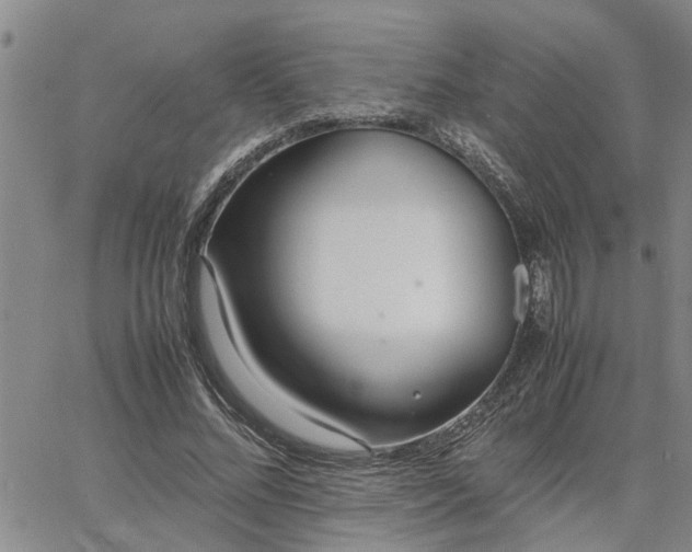 X0000064730684200602171642