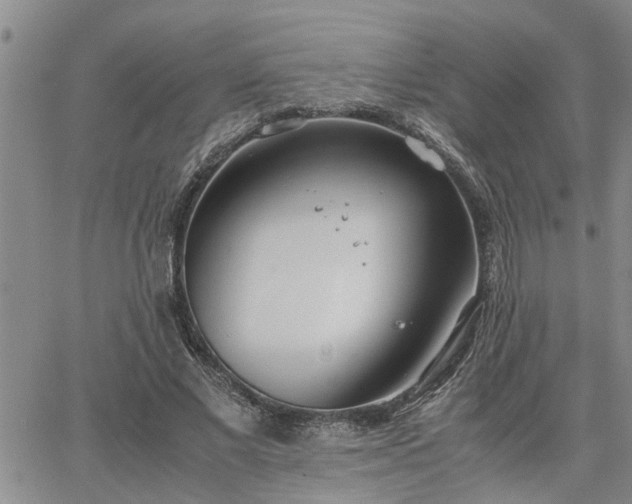 X0000064730685200602171642