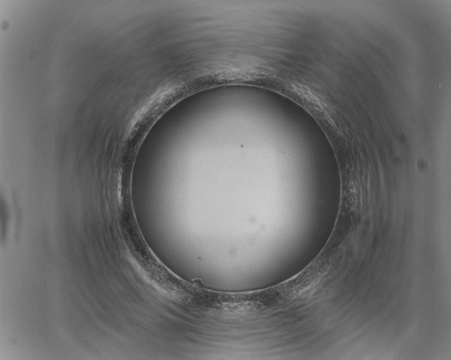 X0000064730686200602171642