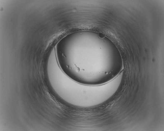 X0000064730688200602171642