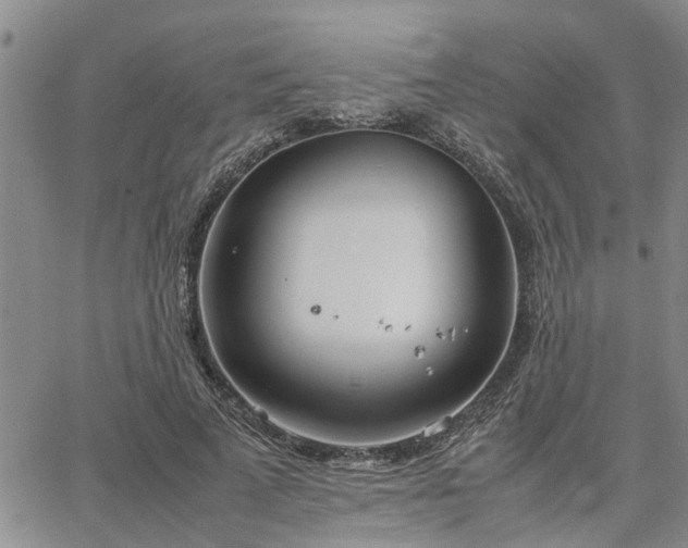 X0000064730689200602171642