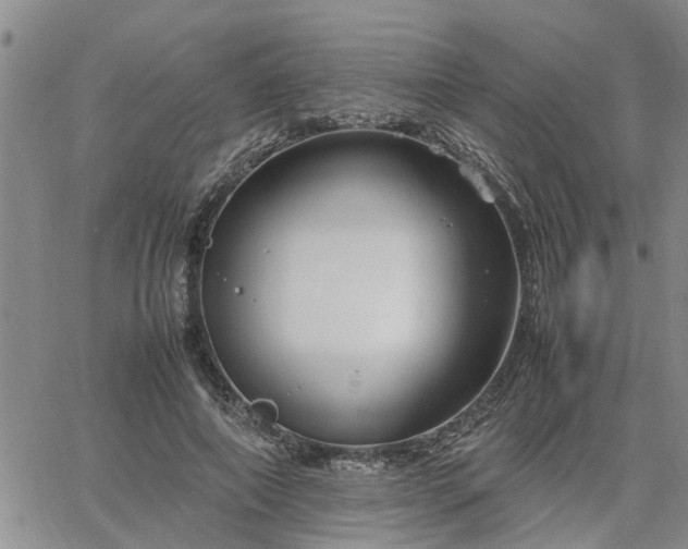 X0000064730690200602171642