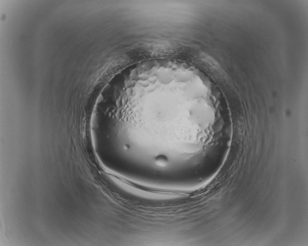 X0000064730691200602171642