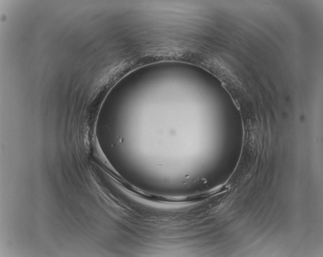 X0000064730692200602171642