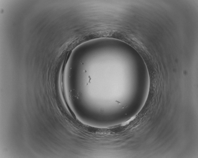 X0000064730693200602171642