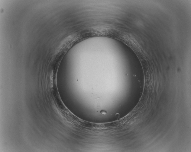 X0000064730694200602171642