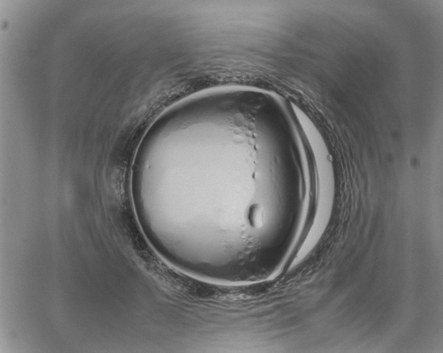 X0000064730695200602171642