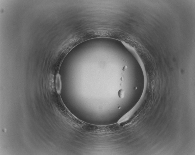 X0000064730696200602171642