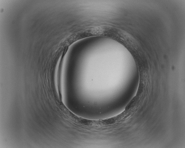 X0000064730697200602171642